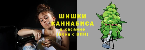 сатива Балахна