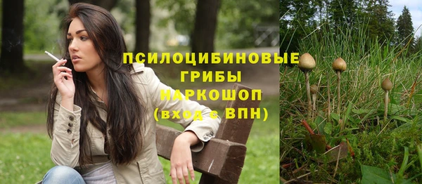 сатива Балахна